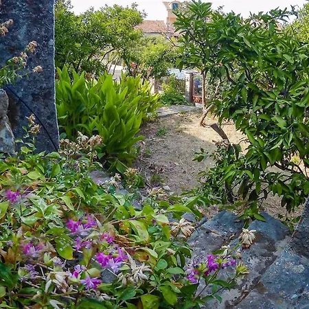 By The Sea Trpanj, Peljesac - 16570 特尔帕尼